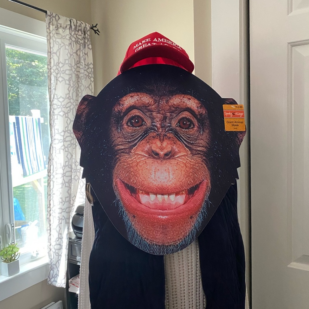 Large Fun NWT Face Masks - pick one at checkout